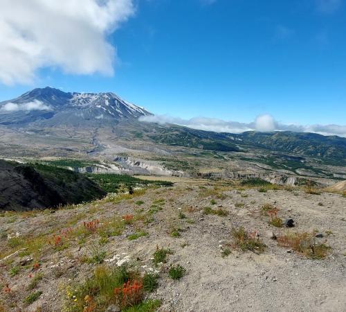 Photo de Mont St Helens 