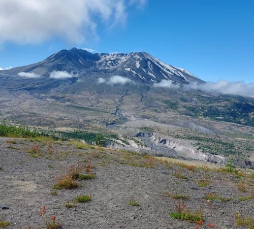 Photo de Mont St Helens 