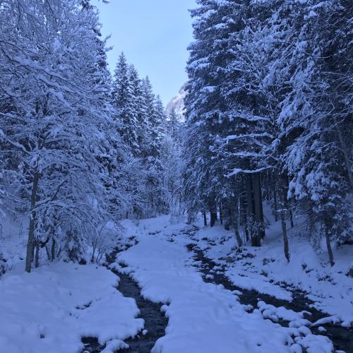 Hauteurs de Grindelwald