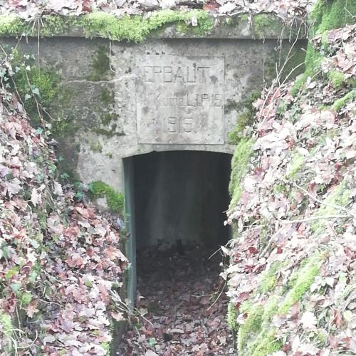 Bunker Allemand bois de Terville