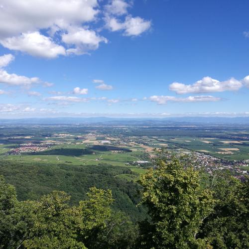 Photo de Balade aux trois châteaux de Ribeauvillé