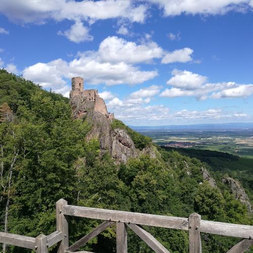 Photo de Balade aux trois châteaux de Ribeauvillé