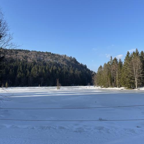 Photo de Lac de Lispach