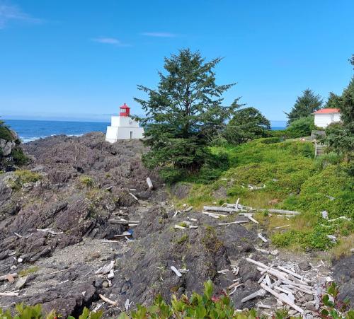 Photo de Phare + vue imprenable sur l'océan 