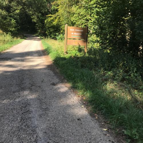 Photo de Forêt domaniale de Moyeuvre