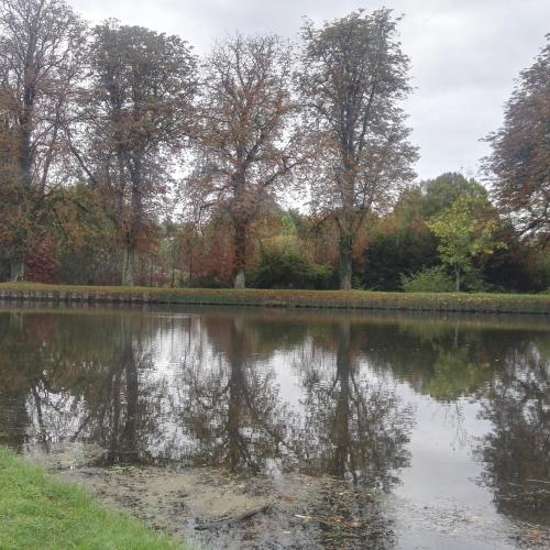 Photo de Balade du bord de Moselle - Canal à Toul