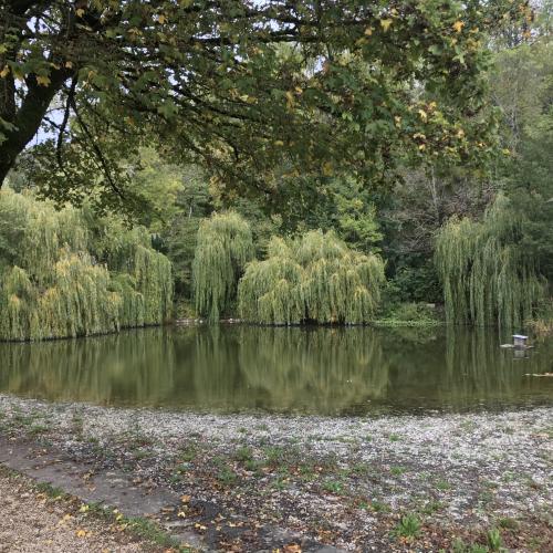 Étang de Fontaine-les-Dijon