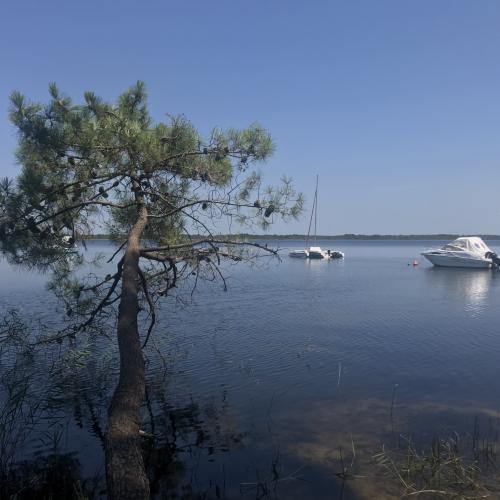 Lac d’Hourtin