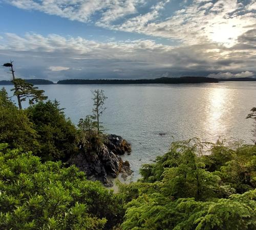 Plage Tofino 