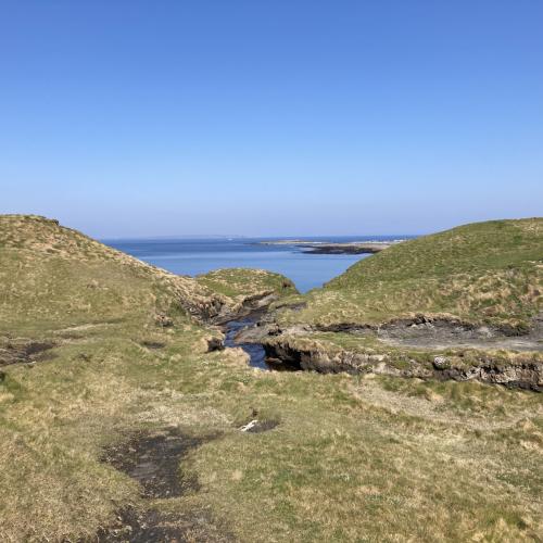 Photo de Cliffs of Moher 