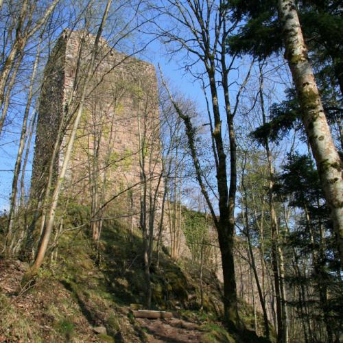 Photo de Château du Nideck