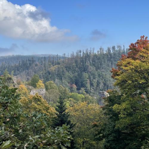 Photo de Château du Nideck