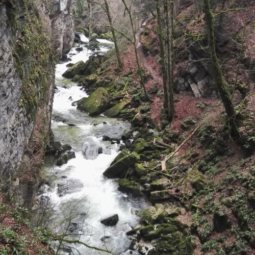 Gorge de L'Areuse