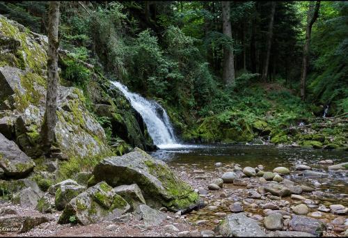 Photo de Saut du Bouchot