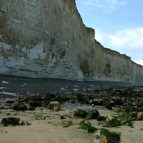 Photo de Plage de Quiberville-sur-Mer