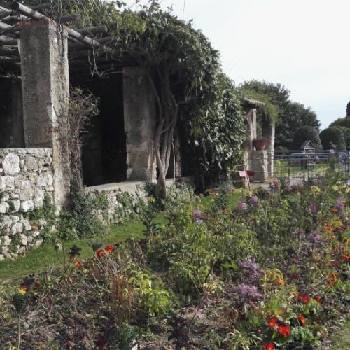 Jardin du monastère de Cimiez