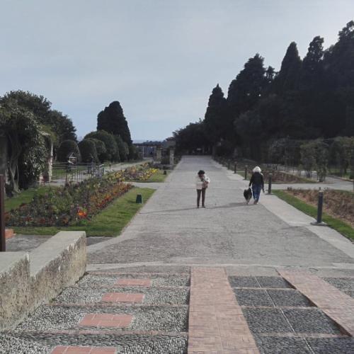 Photo de Jardin du monastère de Cimiez