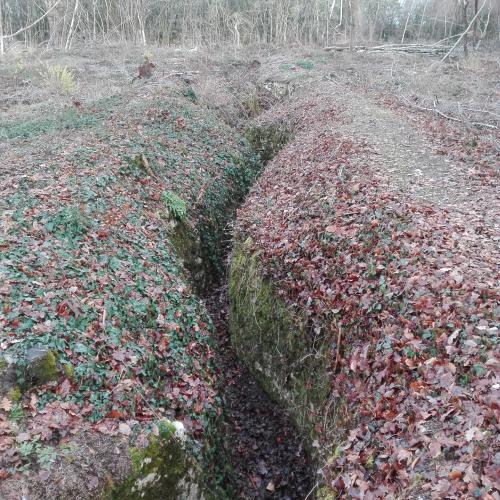 Photo de Bois brûlé, Croix des redoutes