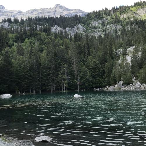 Lac vert 