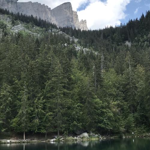 Photo de Lac vert 