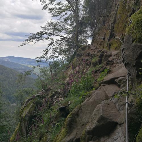 Photo de Sentier des roches