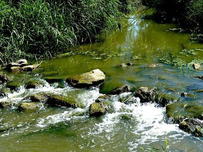 Photo de Berges de la Seille 