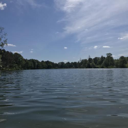 Etang de Mars-la-Tour