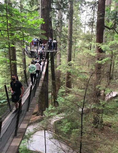 Photo de Capilano parc de ponts suspendus 