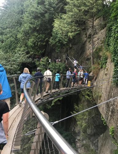 Photo de Capilano parc de ponts suspendus 