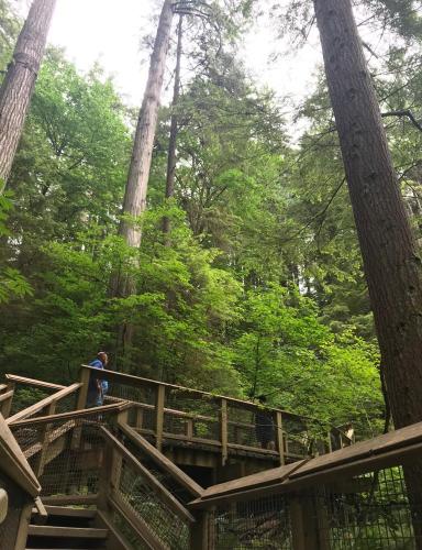 Photo de Capilano parc de ponts suspendus 