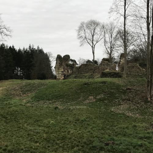 Photo de Château de Montfort-sur-Riesle