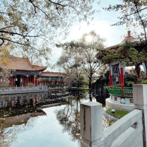 Photo de Jardin Chinois de Zurich