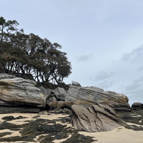 Plage des Dames