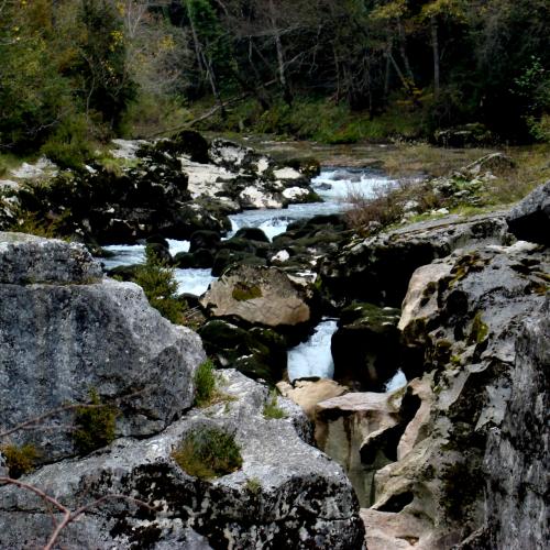 Photo de Les pertes de la Valserine