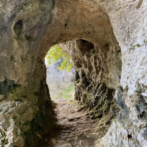 Photo de Grotte de saint moré